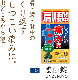 肩・腰・背中のくり返すしつこい痛みに。出どころから治す 雲仙錠 