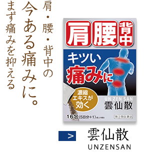 肩・腰・背中の今ある痛みに。まず痛みを抑える 雲仙散 