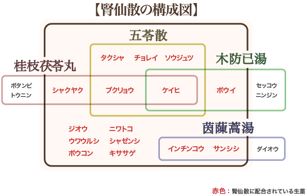 腎仙散 ジンセンサン 膀胱炎やむくみに 和漢のチカラを科学する摩耶堂製薬株式会社 腎仙散 ジンセンサン 膀胱炎やむくみに 和漢のチカラを科学する摩耶堂製薬株式会社