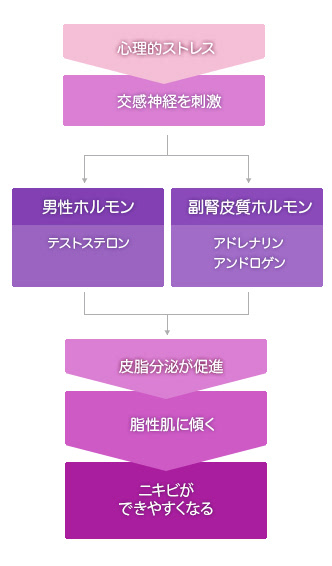 心理的ストレス。交感神経を刺激。男性ホルモン、テストステロン、副腎皮質ホルモン、アドレナリン、アンドロゲン。皮脂分泌が促進。脂性肌に傾く。ニキビができやすくなる