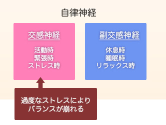 自律神経。交感神経：活動時,緊張時,ストレス時,過度なストレスによりバランスが崩れる。副交感神経：休息時,睡眠時,リラックス時