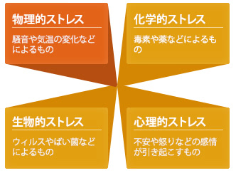 物理的ストレス:騒音や気温の変化などによるもの。化学的ストレス：毒素や薬などによるもの。生物的ストレス:ウィルスやばい菌などによるもの。心理的ストレス：不安や怒りなどの感情が引き起こすもの。