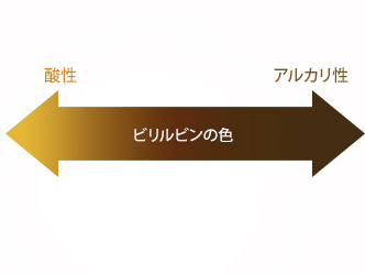 便の色チャート図：酸性、ビリルビンの色、アルカリ性