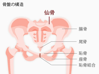 生理のたびに腰痛が悪化 生理と腰痛がリンクするワケ 摩耶堂製薬 ロート製薬グループ Part 2