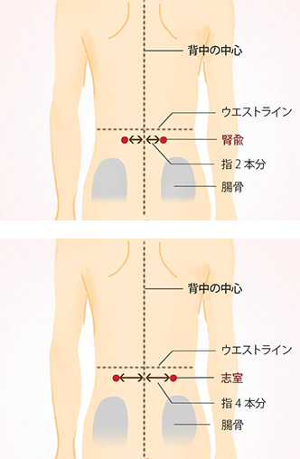 その腰痛にツボの力を 痛む部位別セルフケア 摩耶堂製薬 ロート製薬グループ Part 2