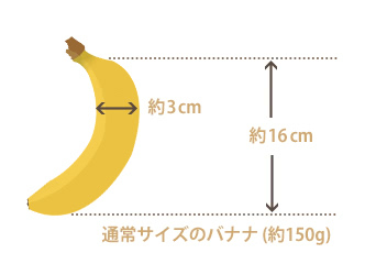 標準的なバナナの大きさを示した図