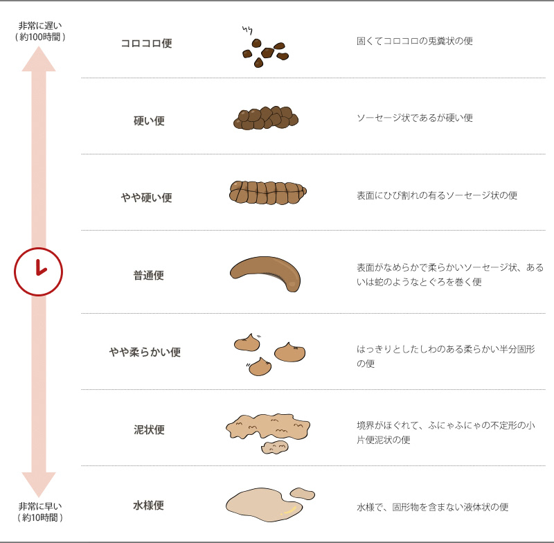 ブリストルスケールの図