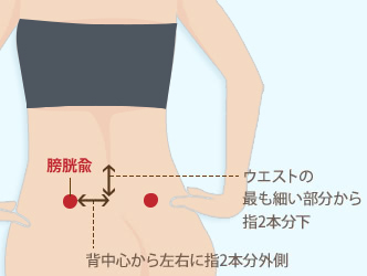 【膀胱兪】ウエストの最も細い部分から指２本分下、背中心から左右に指2本分外側