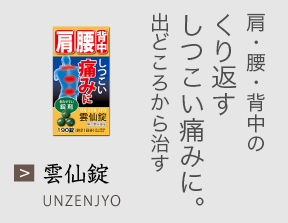 肩・腰・背中のくり返すしつこい痛みに。出どころから治す 雲仙錠