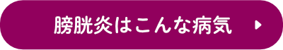 膀胱炎はこんな病気