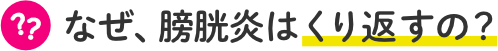 なぜ、膀胱炎はくり返すの？