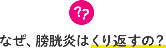 なぜ、膀胱炎はくり返すの？