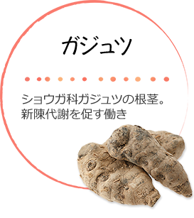 ガジュツ : ショウガ科ガジュツの根茎。新陳代謝を促す働き