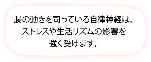 腸の動きを司っている自律神経は、ストレスや生活リズムの影響を強く受けます。