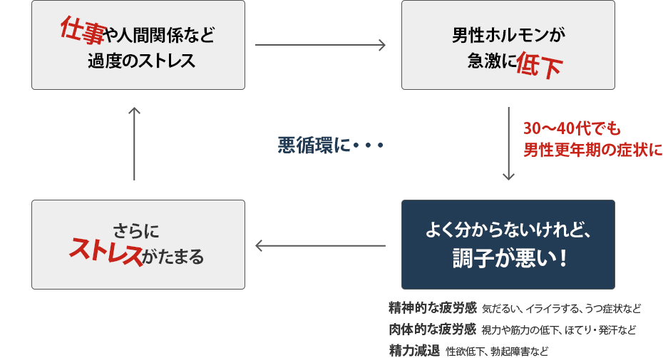 仕事や人間関係など過度のストレス → 男性ホルモンが急激に低下 (30〜40代でも 男性更年期の症状に) → よく分からないけれど、調子が悪い！ 【精神的な疲労感】気だるい、イライラする、うつ症状など 【肉体的な疲労感】視力や筋力の低下、ほてり・発汗など 【精力減退】性欲低下、勃起障害など → さらにストレスがたまる 悪循環に・・・。