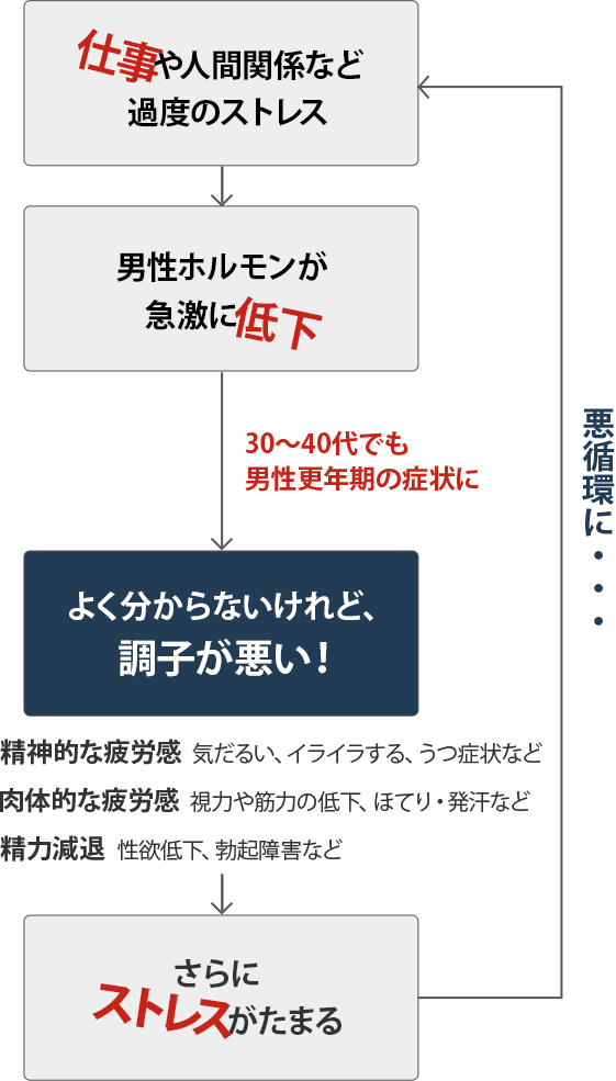 仕事や人間関係など過度のストレス → 男性ホルモンが急激に低下 (30〜40代でも 男性更年期の症状に) → よく分からないけれど、調子が悪い！ 【精神的な疲労感】気だるい、イライラする、うつ症状など 【肉体的な疲労感】視力や筋力の低下、ほてり・発汗など 【精力減退】性欲低下、勃起障害など → さらにストレスがたまる 悪循環に・・・。