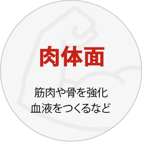 肉体面：筋肉や骨を強化・血液をつくるなど