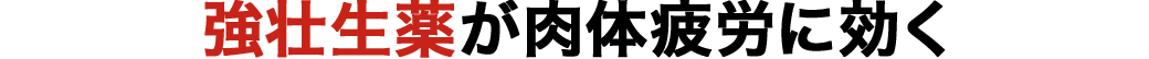 強壮生薬が肉体疲労に効く