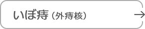 いぼ痔（外痔核）