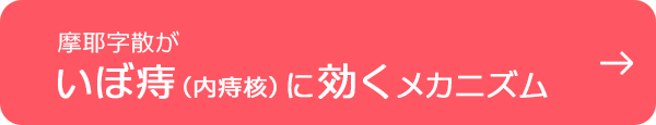 摩耶字散がいぼ痔（内痔核）に効くメカニズム