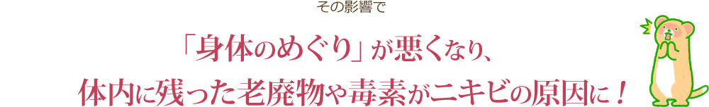 その影響で「身体のめぐり」が悪くなり、体内に残った老廃物や毒素がニキビの原因に！