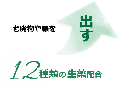 老廃物や膿を出す 12種類の生薬配合