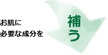 お肌に必要な成分を補う