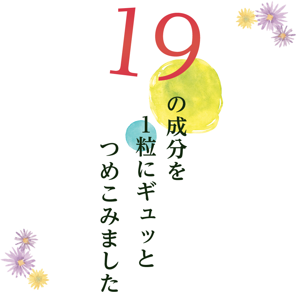 19の成分を１粒にギュッっとつめこみました