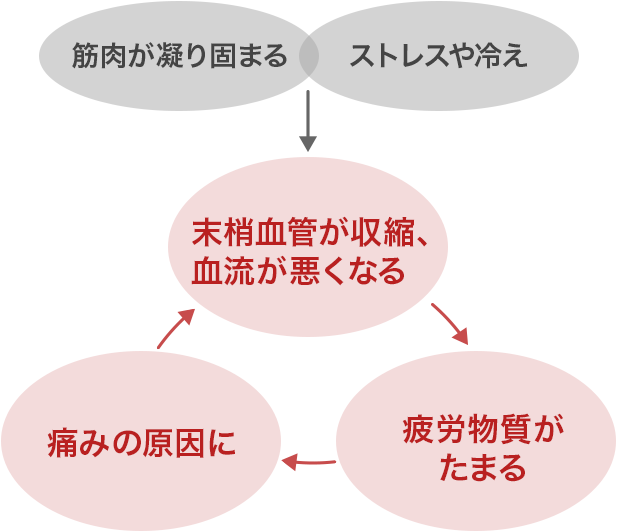 筋肉が凝り固まる → ストレスや冷え → 末梢血管が収縮、血流が悪くなる → 疲労物質がたまる → 痛みの原因に → 血流が悪くなるへ繰り返す